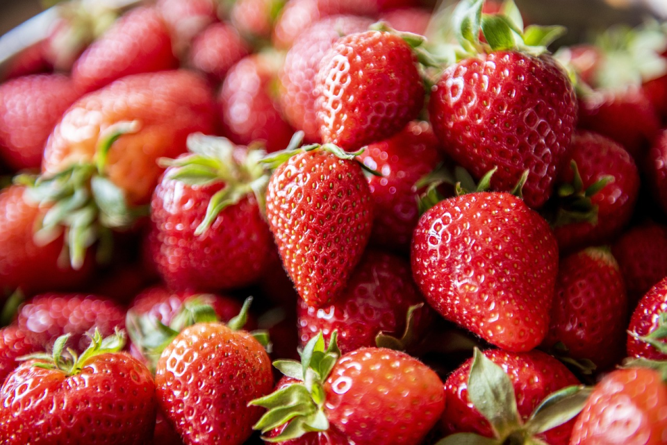 Aardbei