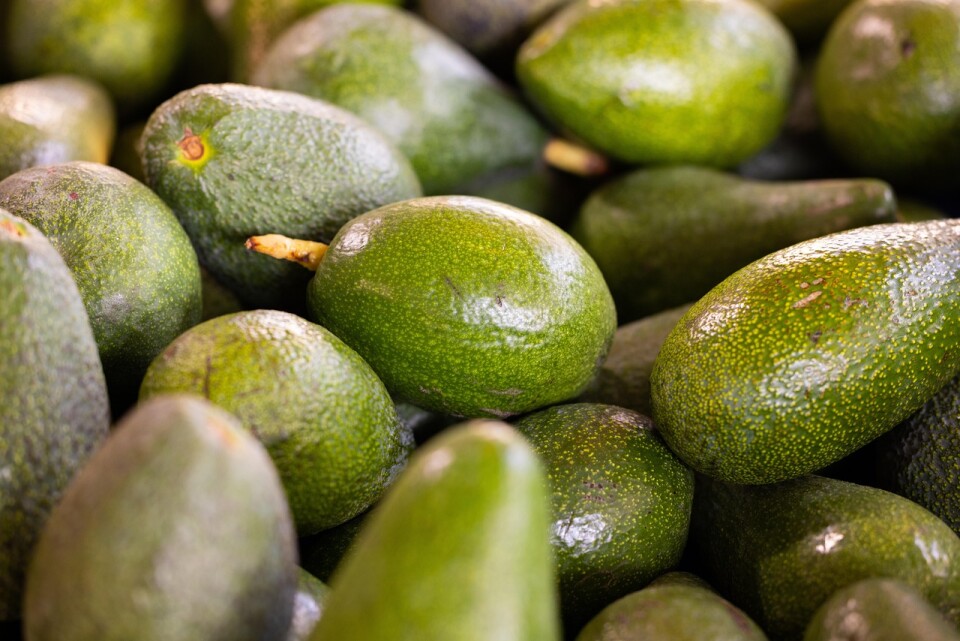 Avocados 6757663 1280