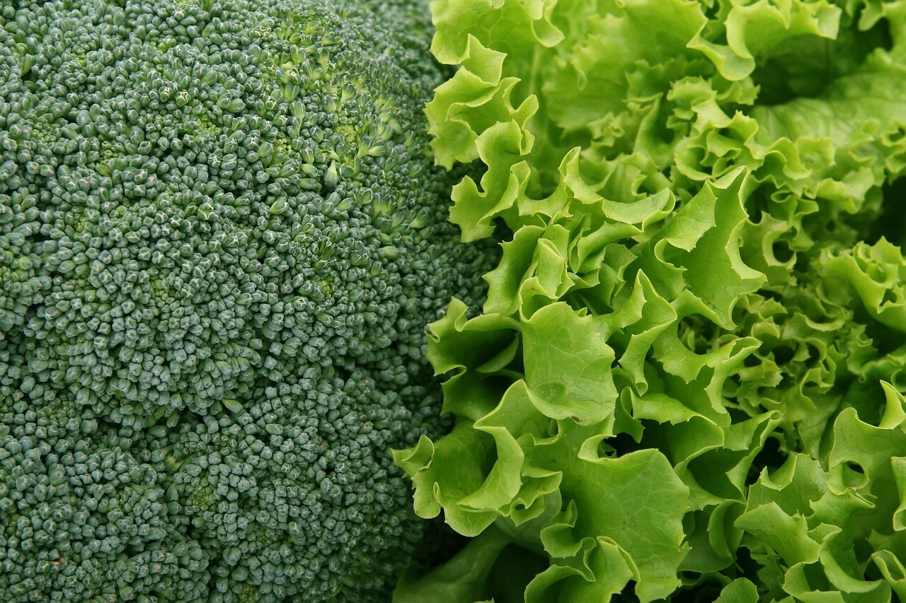 Broccoli 1239430 1280