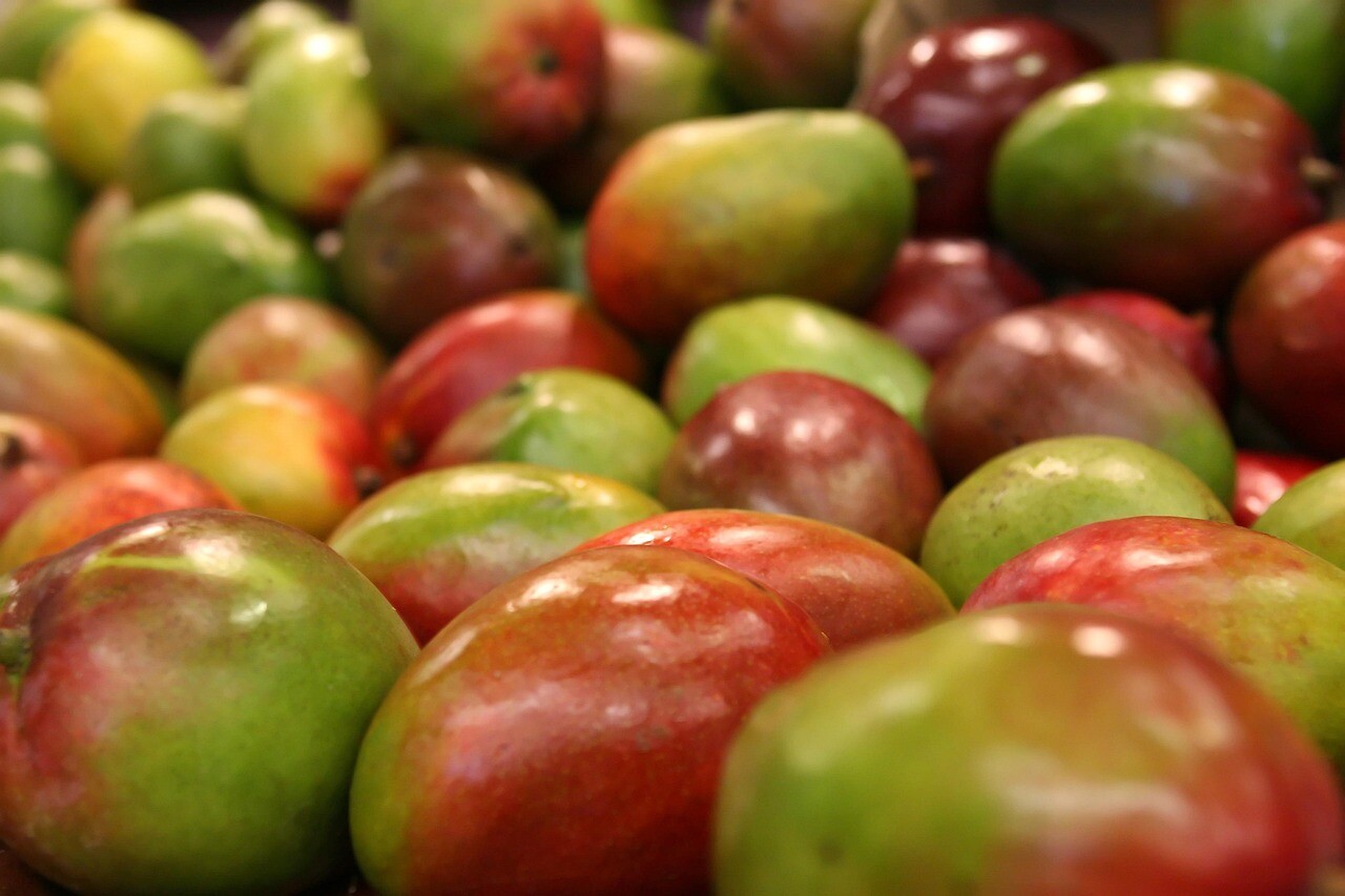 Mango 1239347 1280