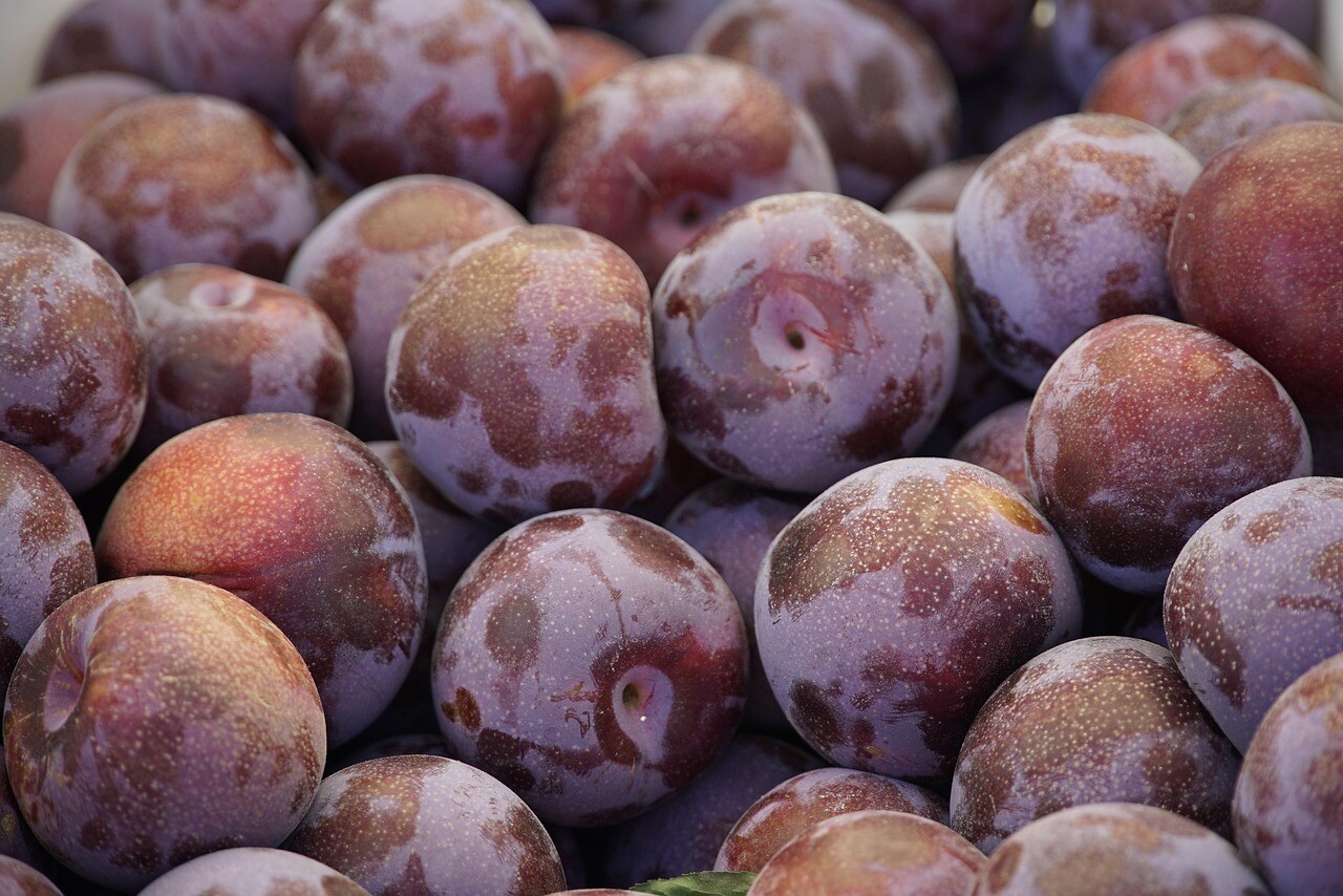 Plums 8932336 1280