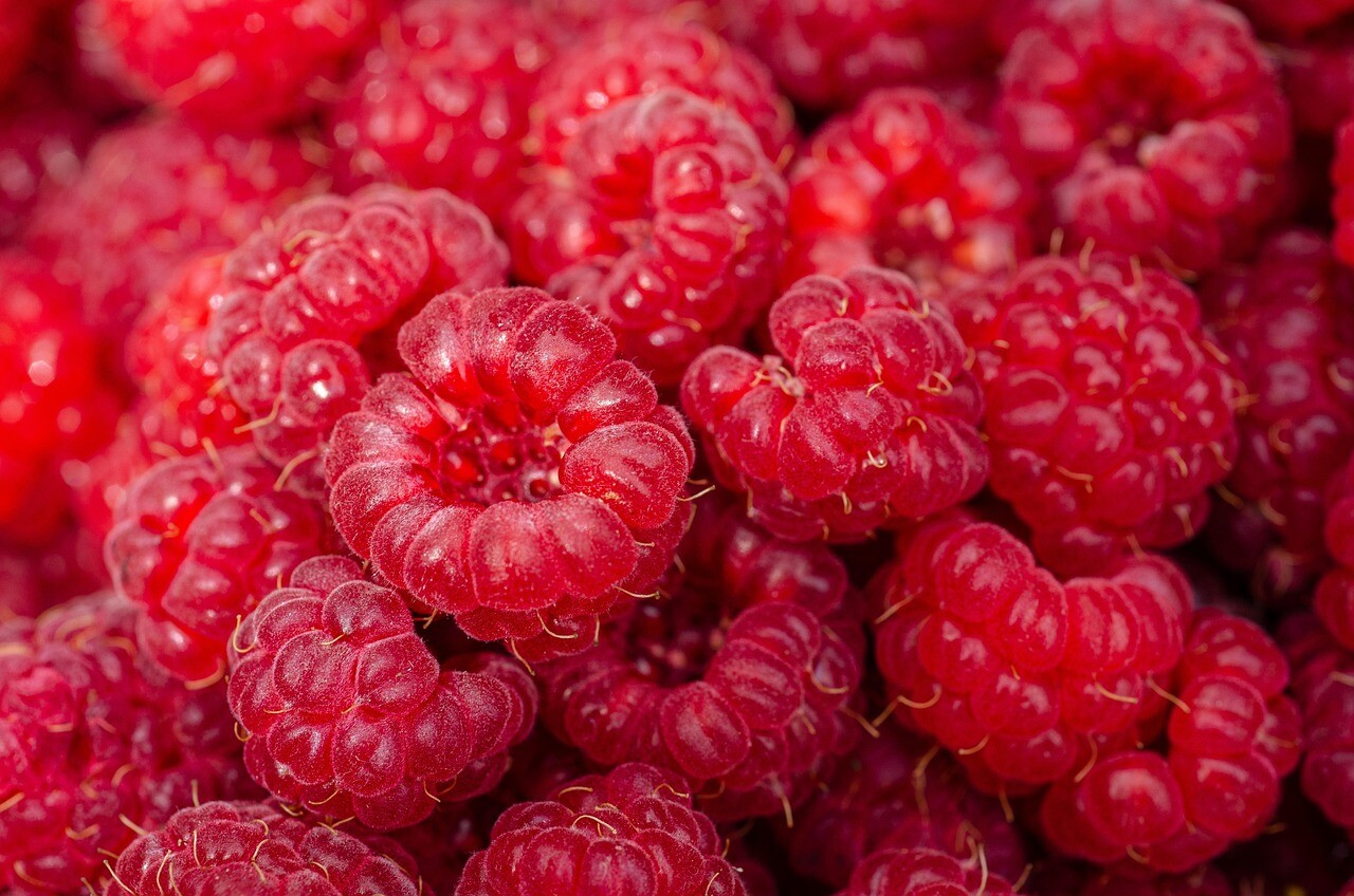Raspberries 7313700 1280